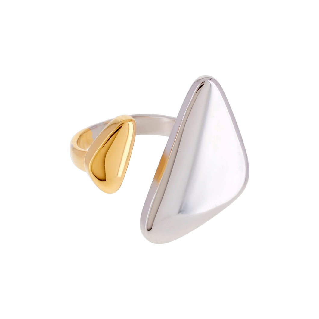 Dali Two Tone Ring Together Forever Forever Crystals 